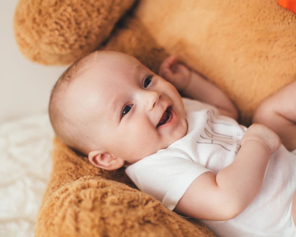 bassinet with rocking motion