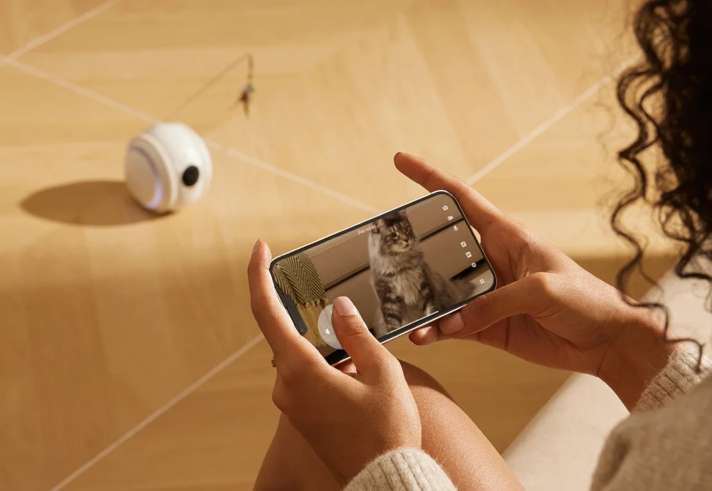 camera to watch pets at home
