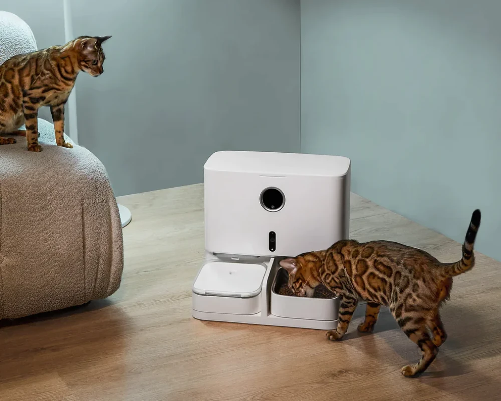 automatic water feeder for dogs