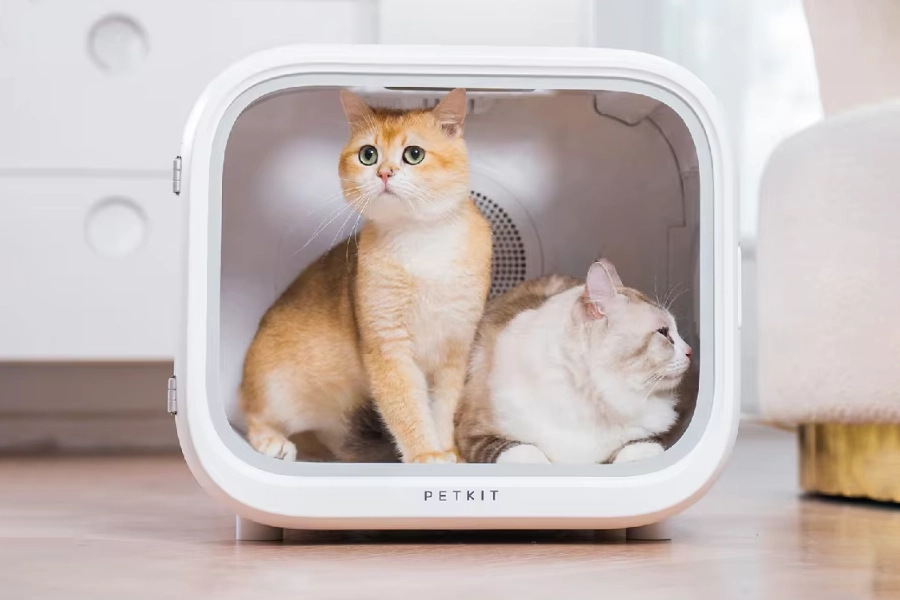 pet dryer box review